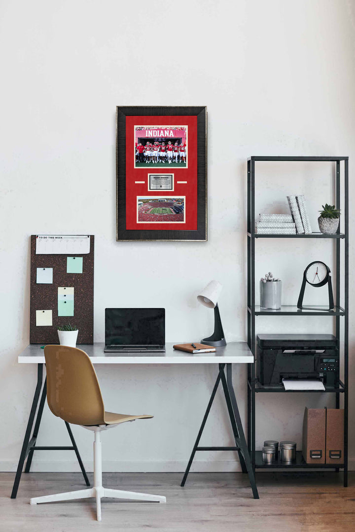 Indiana Hoosiers - 2025 Champion Season