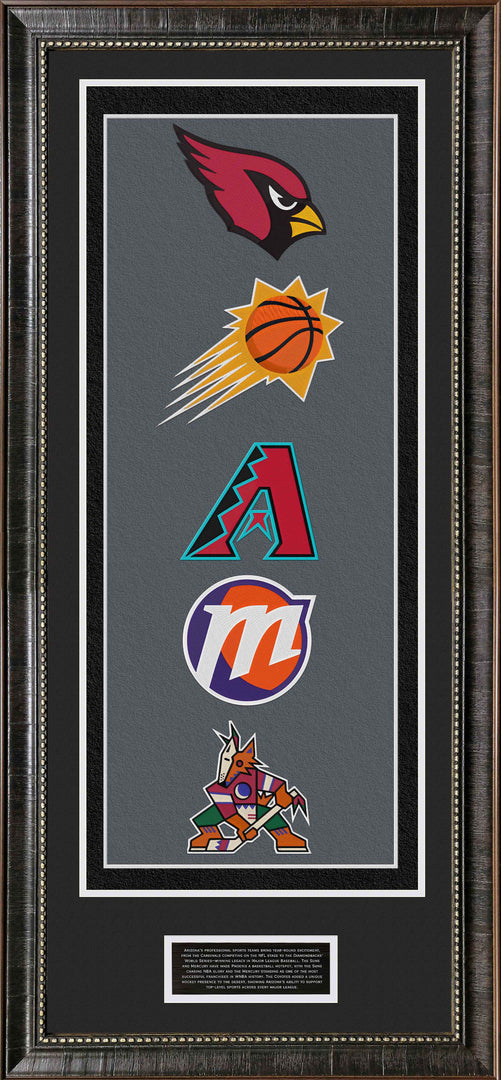Arizona Sports Banner