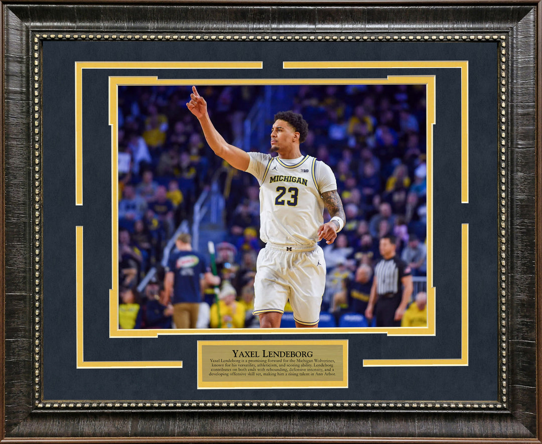 Yaxel Lendeborg - Michigan Wolverines - Spotlight