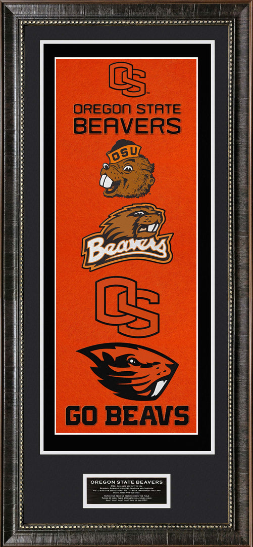 Oregon State Banner