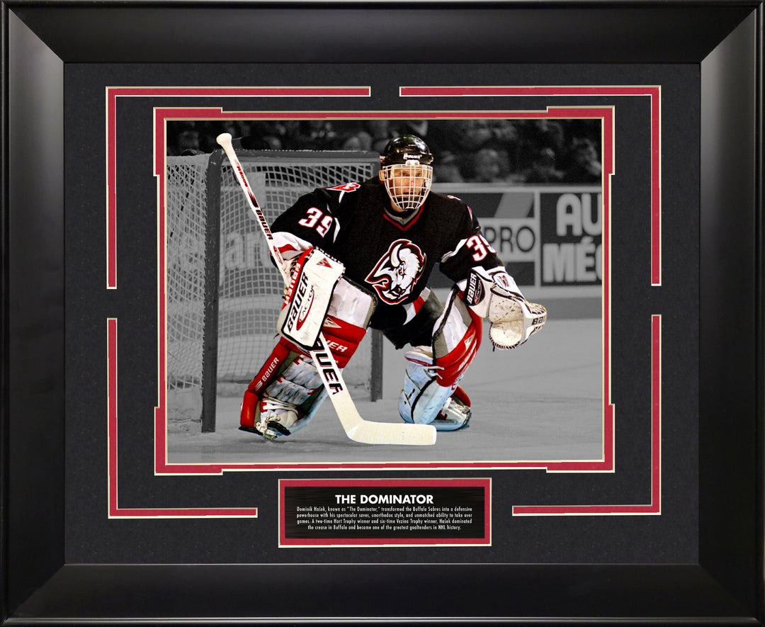 Dominik Hasek - Buffalo Sabres - Spotlight