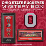 Load image into Gallery viewer, Ohio State Buckeyes