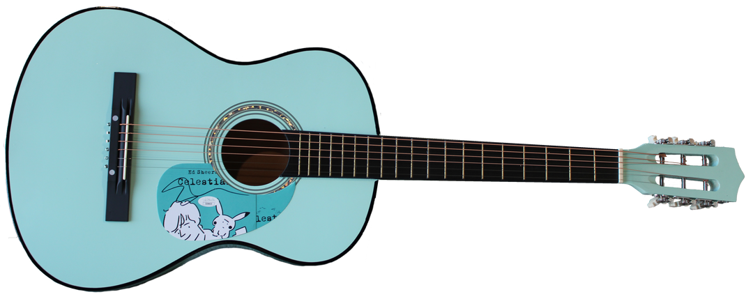 Ed Sheeran Mystery Box Featuring Ed Sheeran Autographed Guitar