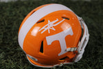 Load image into Gallery viewer, Tennessee Volunteers Mystery Box
