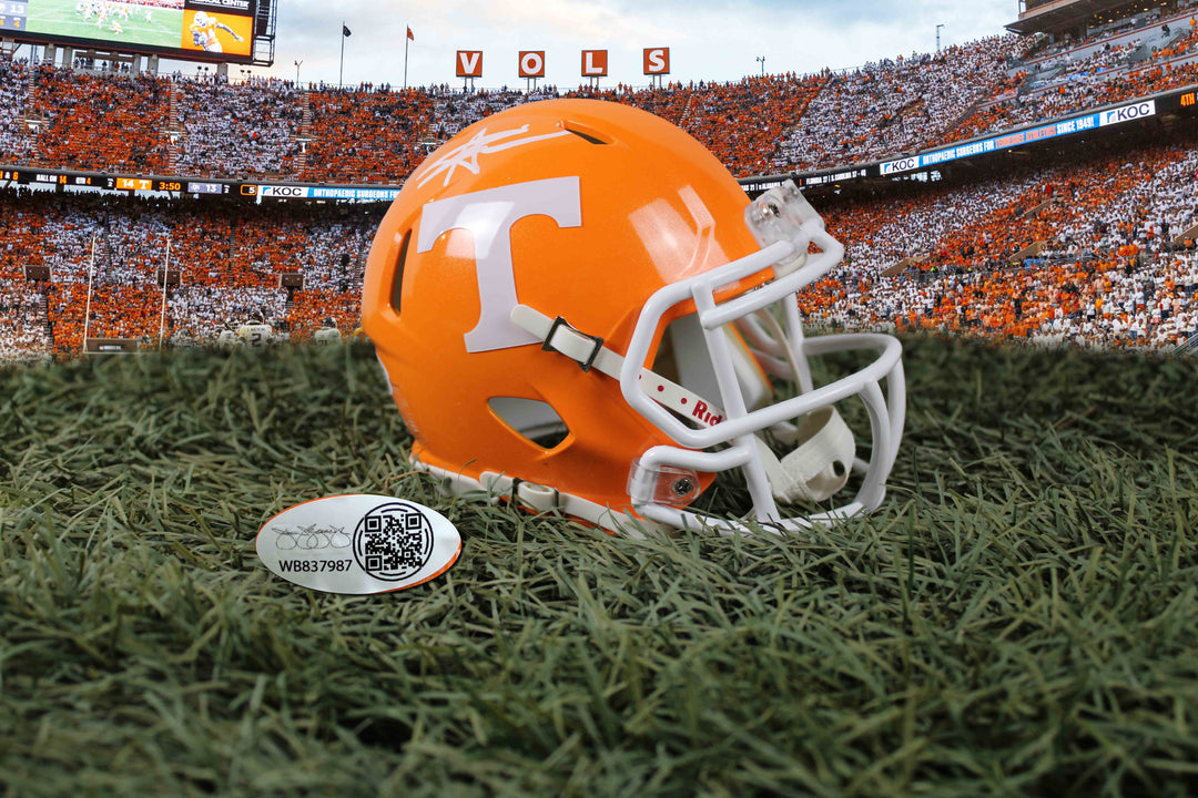 Tennessee Volunteers Mystery Box