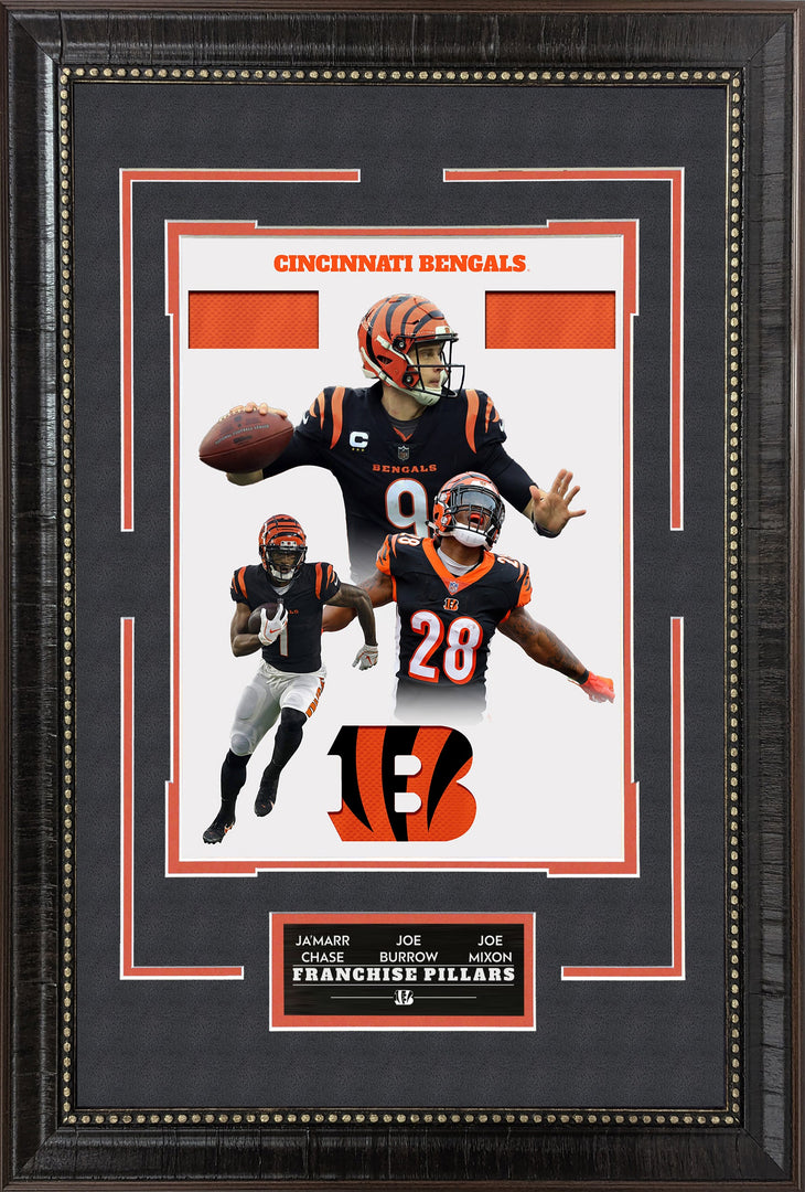 Cincinnati Bengals - Franchise Pillars