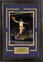 Load image into Gallery viewer, LeBron James - NBA JAM - Spotlight with Facsimile Signature
